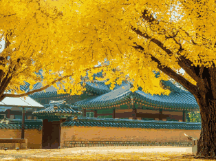 韩国外贸数据,外贸数据,凯发K8外贸数据 韩国外贸数据,外贸数据,凯发K8外贸数据